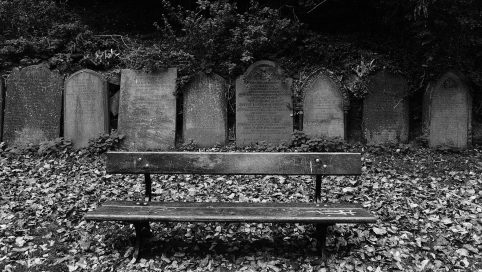 St James Garden - an empty bench - or is it?
