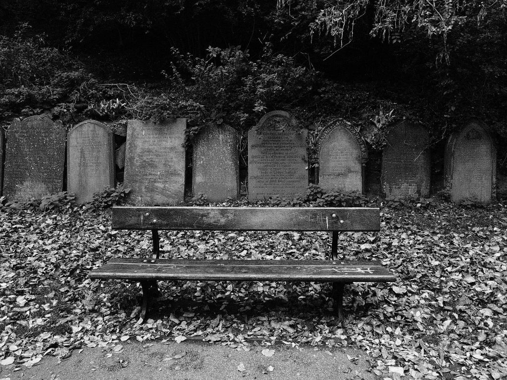 st-james-garden-an-empty-bench-or-is-it_